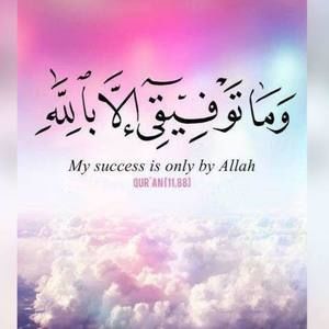 Meet your Posher, Ayesha